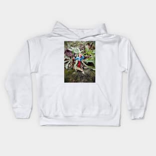 The discoverer Kids Hoodie